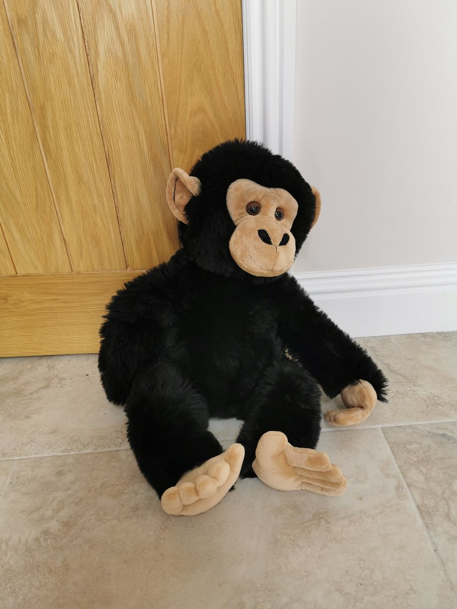 Duncan Forbes tweet media