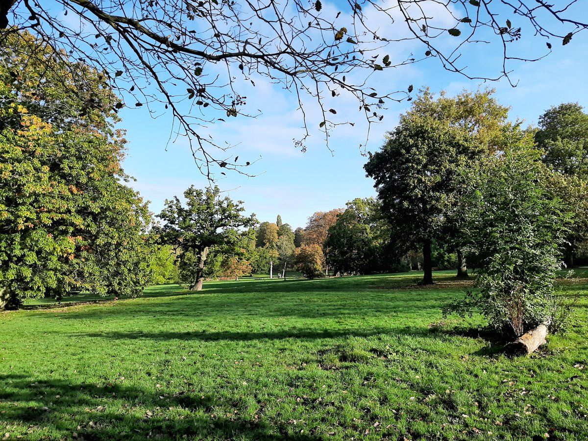 Morning, Jo here! I'm starting my mission to get to <a href="/AlcesterTown/">Alcester Town</a> to see Gulp! using only public transport. As <a href="/StagingChange/">Staging Change</a> suggests, the train/bus are a great way to be more environmentally responsible when seeing shows. And look at the view! #GoJo #StagingChange #RuralTouring