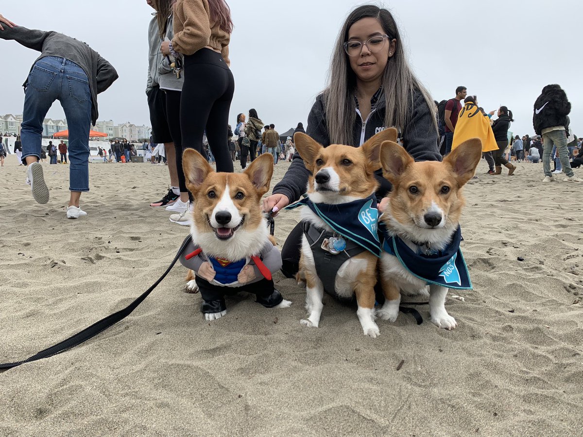 _susanchen's tweet photo. our first @corgicon met the brofurs! #CorgiCon https://t.co/uPwBwA32h0