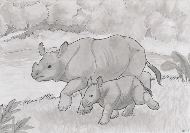Dankleosteus1's tweet photo. Inktober day 20- Javan rhinos    #inktober #inktober2019
#javanrhino #rhino #rhinos #rhinosceros  #art #artistsonTwitter https://t.co/LPc4iEq8vC