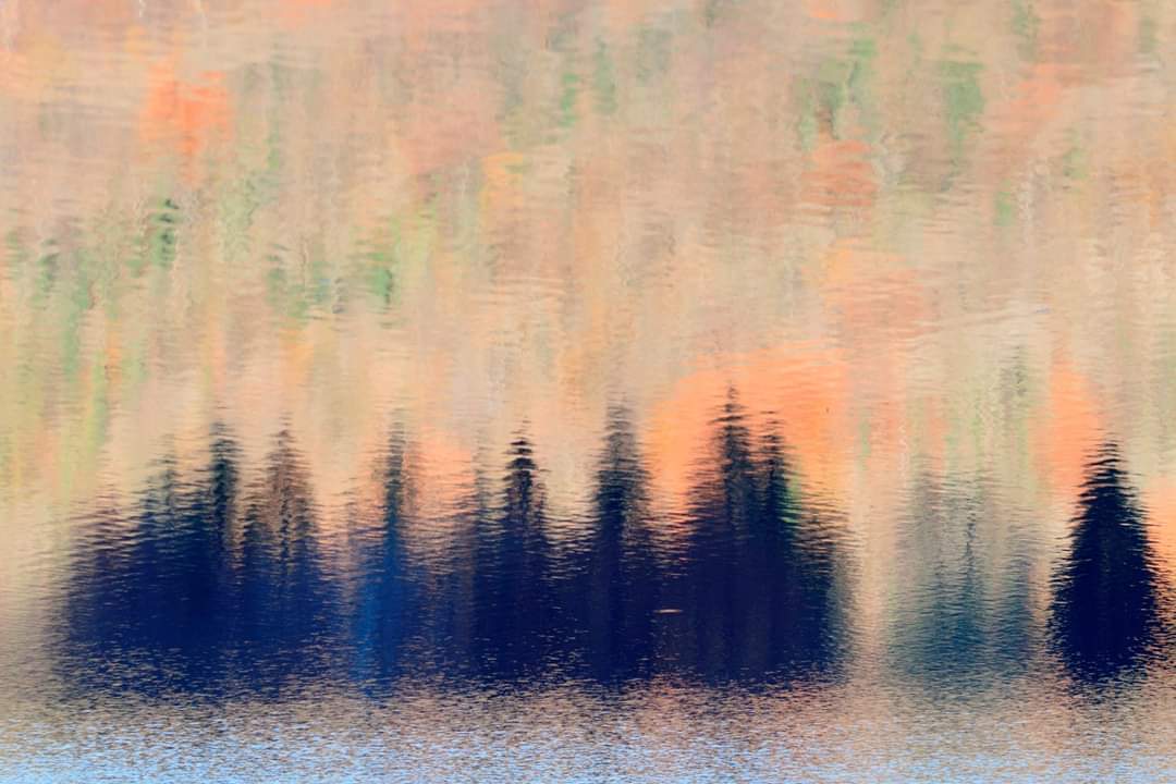 GeneenSilver's tweet photo. #autunno. (Foto di Giuseppe Cozzi) https://t.co/Acs9zeg4dF