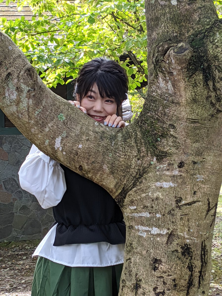 林由佳 Twitter Search