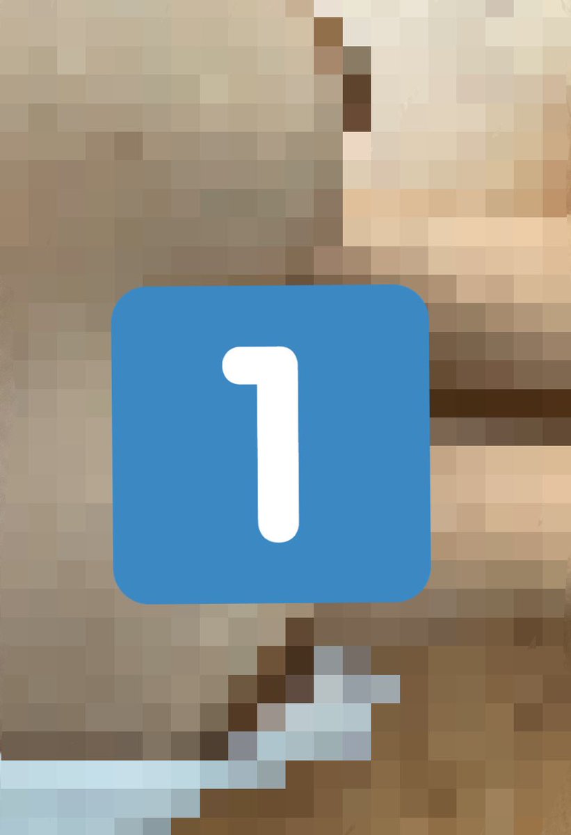 HoneyPie 🥧 tweet media
