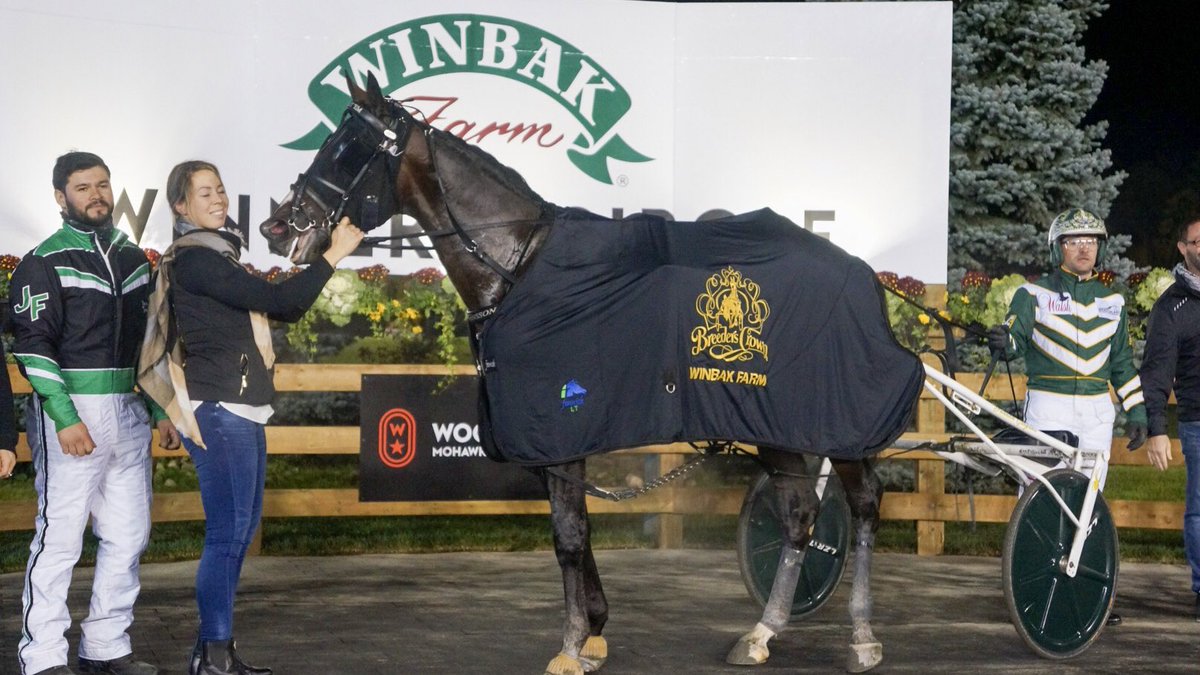 Joe_Zagari's tweet photo. #DontLetem 🇺🇸 #MuscleHill won #BreedersCrown2019🏆on @WoodbineSB 🇨🇦 #Eliminations 1 - 3 Year Old Colts &amp; Geldings - with @Gingras3 &amp; @Johanssonstable⏱️1:51.3 on 1 Mile (27.1) over #ChinChinHall and #GreenManalishi 
#RoadtoBreedersCrown 🏆🇨🇦 https://t.co/26WjufWFJT