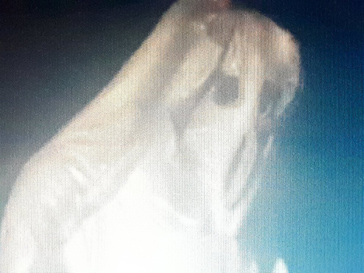 idrawvapor's tweet photo. Telepat is look like nice ghost i want to dress like him costume for passing haloween nexwik https://t.co/32QbRqYPgD