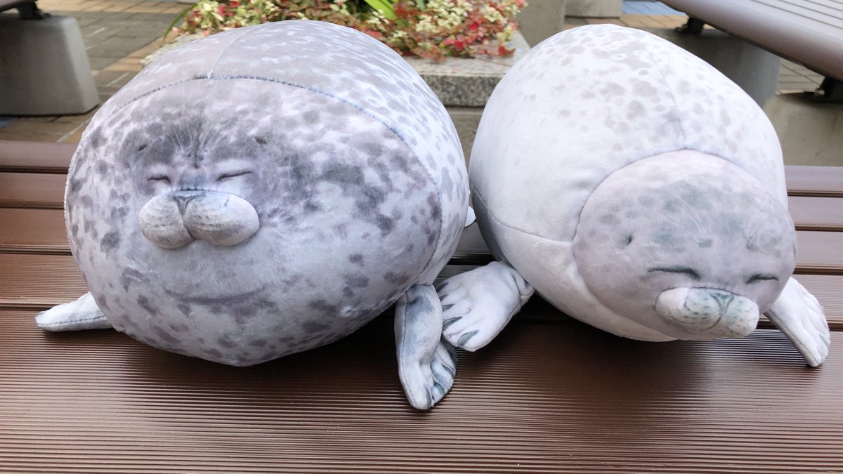 市井ニノ V Twitter 海遊館のアザラシぬいぐるみ 小 も買えたよー かわいいー 大きい方はフェリシモの通販もあるので現地で買うなら圧倒的に 小さい方