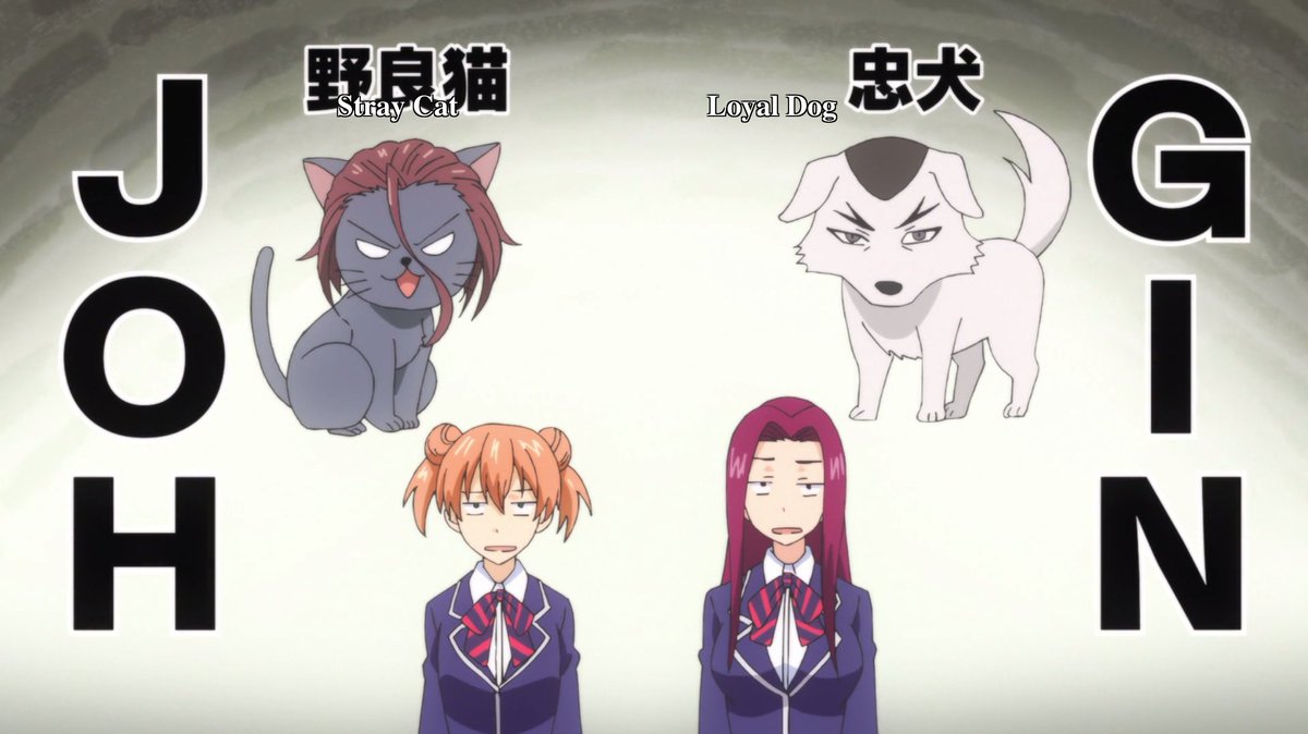 JayHickmanMD's tweet photo. C’mon, Ma! Cards are overrated! #StrayCatStyle @joannebonasso @KyleColby @SentaiFilmworks #Joichiro #Toonami #AdultSwim #anime @Toonami4Ever https://t.co/dJ2RAb1Y8N