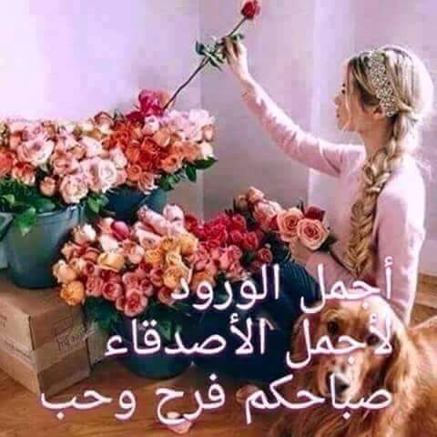 TefatEl's tweet photo. @88oo33 https://t.co/4fiYT7RvI1