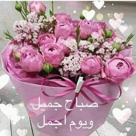 TefatEl's tweet photo. @88oo33 https://t.co/D8pX8zYXyv