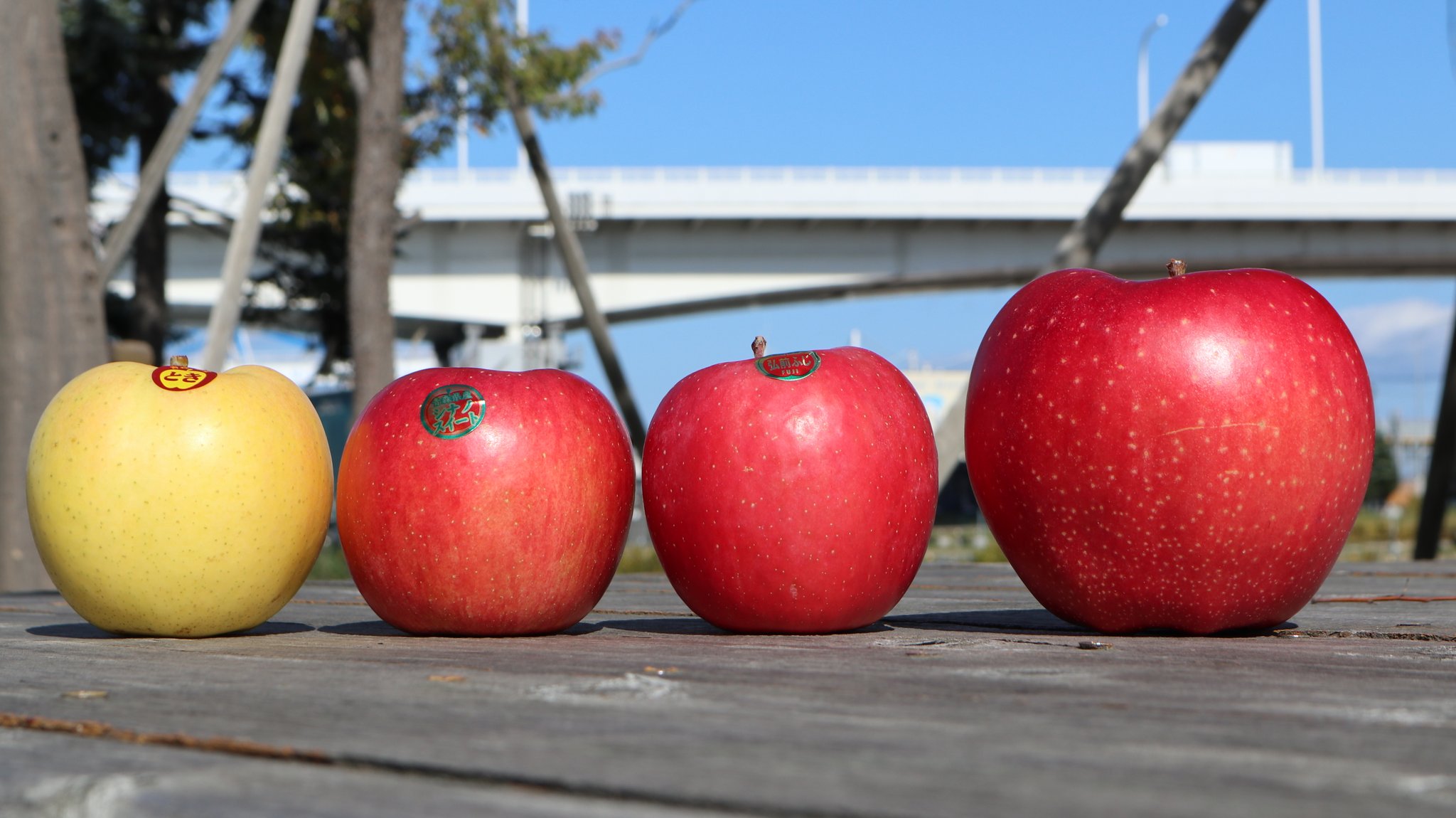まるごと青森 品種 世界一 の重さは 1個500g以上 中でも特に大きいものは 1個600gを超えます ふじの2倍ほどの重 さと大きさ まさにラガーマンのようなガッチリしたりんご なのです 青森りんご 青森 Aomori 世界一はど れだ T Co まるごと青森 品種 世界一 の重さは 1個500g以上 中でも特に大きいものは 1個600gを超えます ふじの2倍ほどの重 さと大きさ まさにラガーマンのようなガッチリしたりんご なのです 青森りんご 青森 Aomori 世界一はど れだ T Co