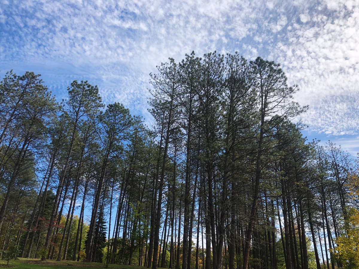 MHS_GreenTeam's tweet photo. Beautiful views from the Holden Arboretum! Only a glimpse of Earth’s beauty 🌍☀️🌦🌗🌛✨ https://t.co/HMJmGTGoJg