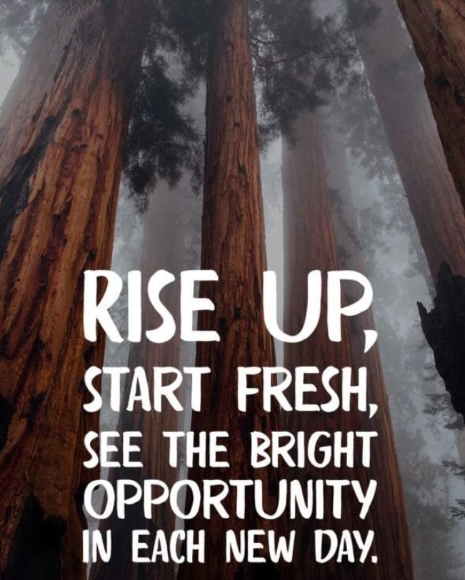 wossetsmedia's tweet photo. Rise Up!

#wossets #highschool #highschool
#SaturdayThoughts #SaturdayMotivation #SaturdayMorning #SaturdayVibes #Saturday https://t.co/DQ0aaIXIDK