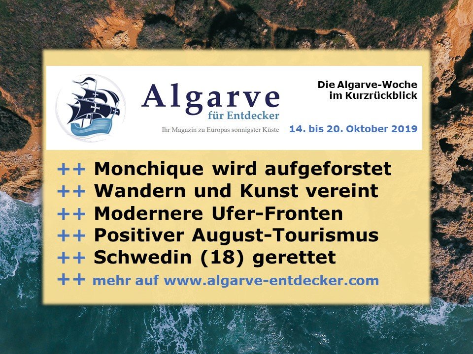 #Ryanair vermindert #Algarve-Engagement in #Faro einerseits, hilft andererseits aber bei Wiederaufforstung von Waldbrand-Region #Monchique: algarve-entdecker.com/2019/10/algarv… @turismo_algarve