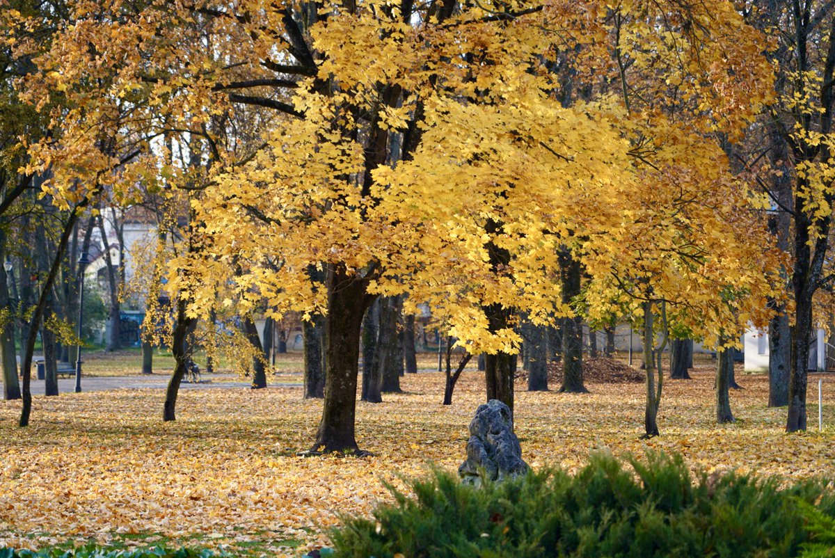 janlisiecki's tweet photo. #autumn #travel moments in #Vilnius #Lithuania https://t.co/1TDvx9FQue