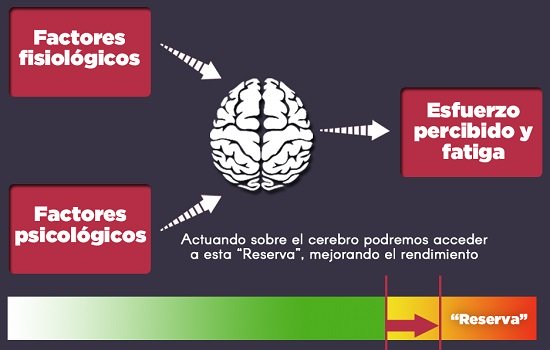 Antonio_Oca's tweet photo. #RendimientoDeportivo Es la mente la que determina cuánto nos podemos acercar a nuestro potencial 
https://t.co/DkdZkGkqfD https://t.co/wudG9L4y7G