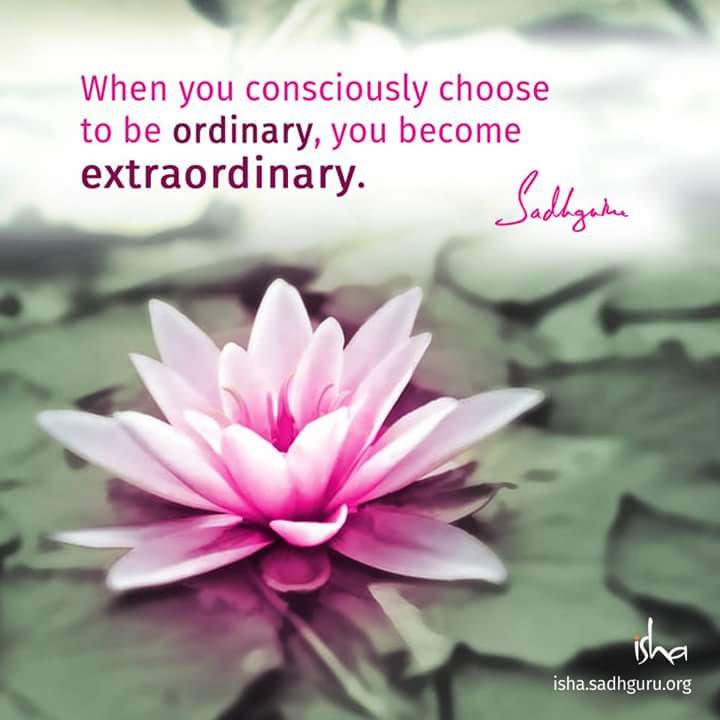 traversingkrith's tweet photo. Meet, Mingle and Meditate with Sadhguru in Chennai!! 

Want to Know How?
Attend Isha Yoga with Sadhguru in Chennai. Register at:
Tamil:Dec 18,19
https://t.co/6tcpwI0knK
English: Dec 21,22
https://t.co/uBYhxH7w6p
#ChennaiyilYogaVedi https://t.co/49dtYd9JYR