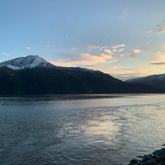 thetheronstudio's tweet photo. What a nice drive it was to Kenai.
.
.
.
.
.
.
.
.
.
.
.
.
.
.
.

#photography #instagood #photooftheday #photo #travel #photographer #travelphotography #art #beauty #picoftheday #travelgram #amazing #picture #thetheronstudio #theron #stilllife #camera #iphone #kenia https://t.co/hHvXelt7qn