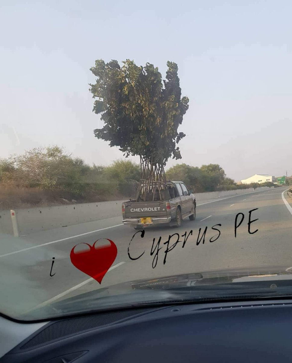 gpsyllides's tweet photo. Ο καθενας καμνει οτι θελει βαση των δυνατοτητων του. Κρατος; ποιον κρατος; https://t.co/BQrjFMpCoi