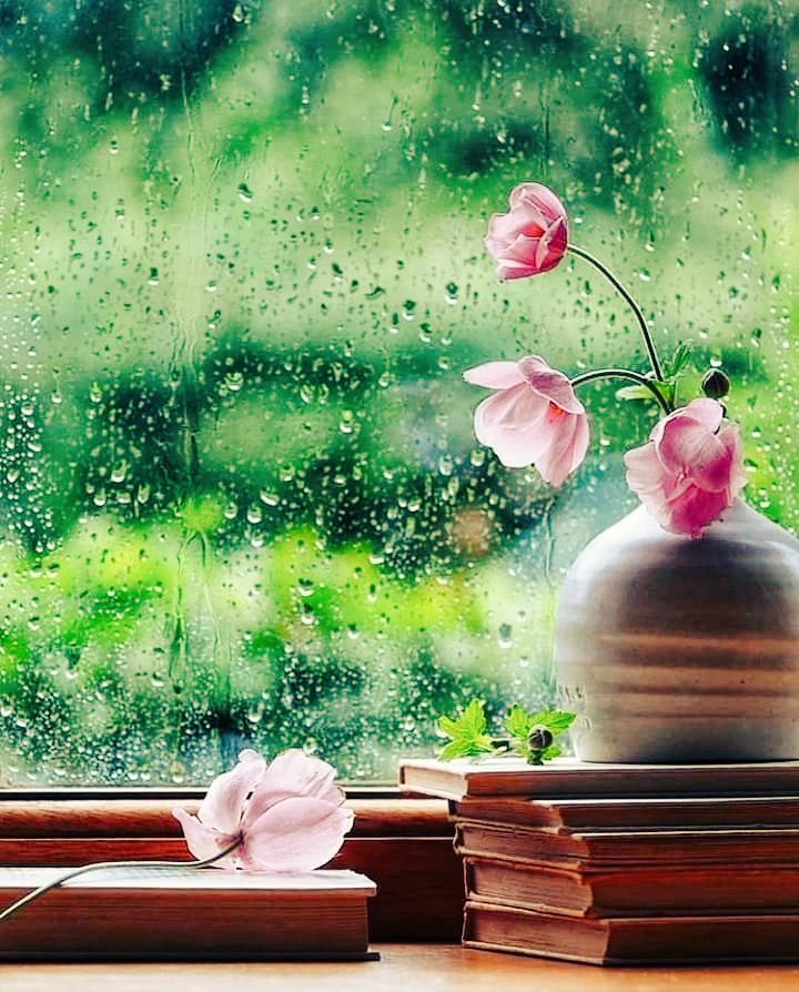 kannappi_'s tweet photo. മഴപെയ്തിറങ്ങുമ്പോൾ മനസ��സിൽ പെയ്തിറങ്ങുന്നത് നിന്റെ ഓർമ്മകൾ മാത്രമാണ് https://t.co/fWhz8b04eH
