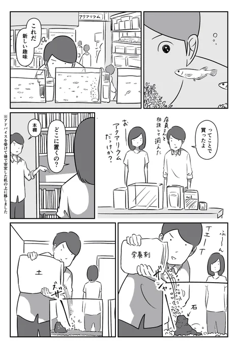 水槽の魅力 