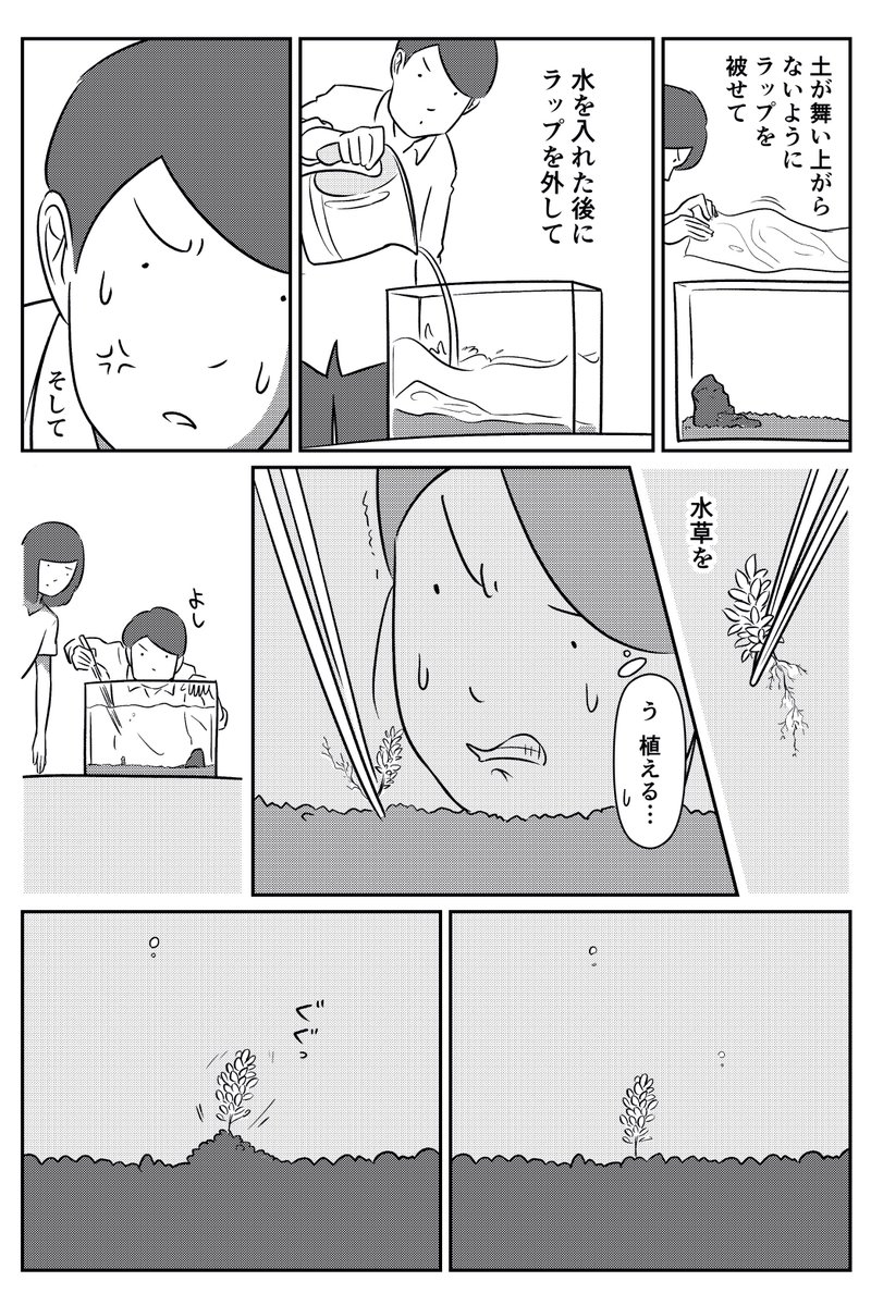 水槽の魅力 