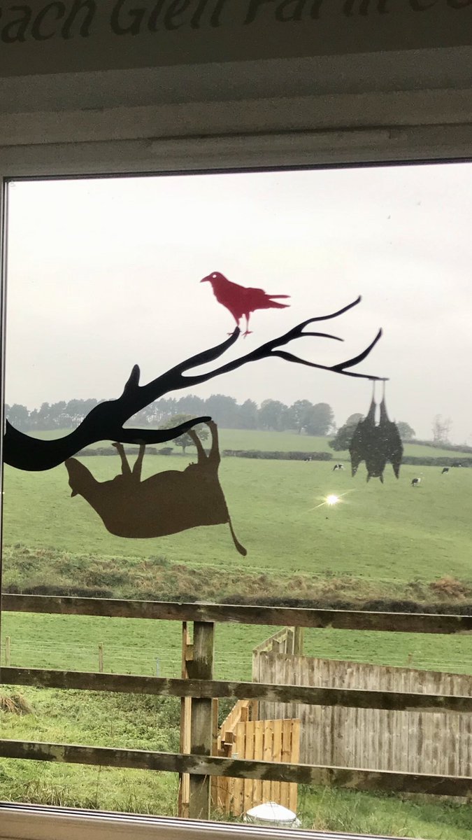 #UpsideDown #cows #Halloween #fun