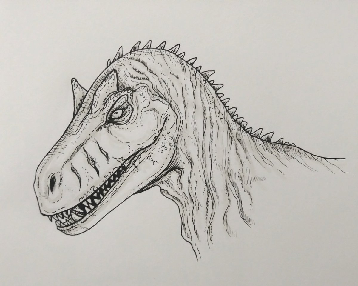 Greenfractals1's tweet photo. Allosaurus for inktober JurrasicWorld challenge. Chomp Chomp.
#inktober #inktoberchallenge #JurassicWorld #JurassicPark #jurassicWorldart #allosaurus #dinosaur #dinosaurart #inktober2019 #artchallenge https://t.co/FRTtQ4FFd4