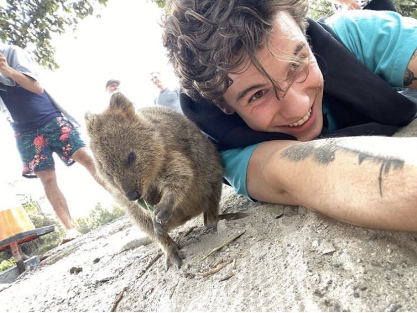 thatquokkalife tweet picture