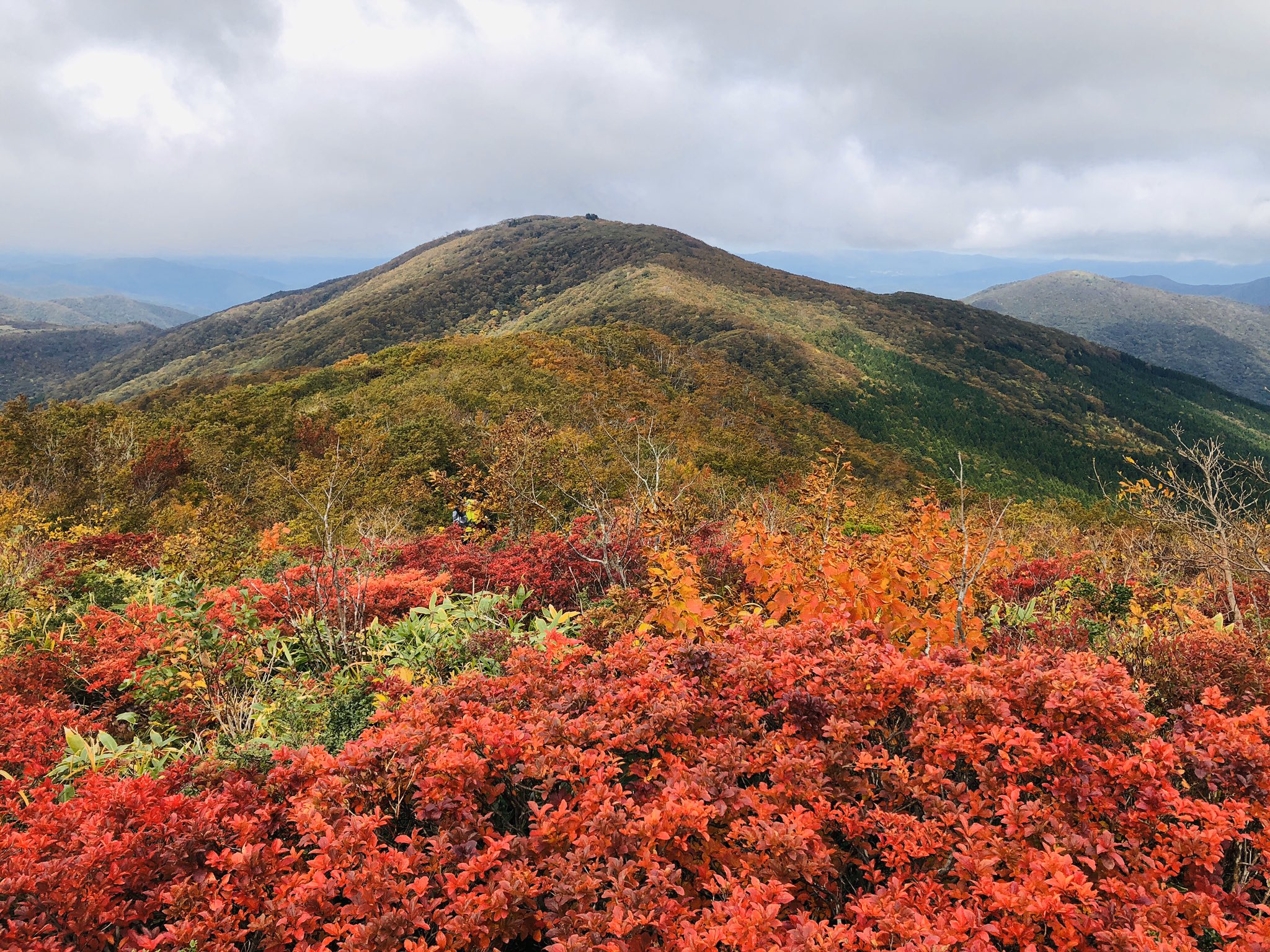 中国地區紅葉最新消息 每日更新 Japan Travel 日遊情報網