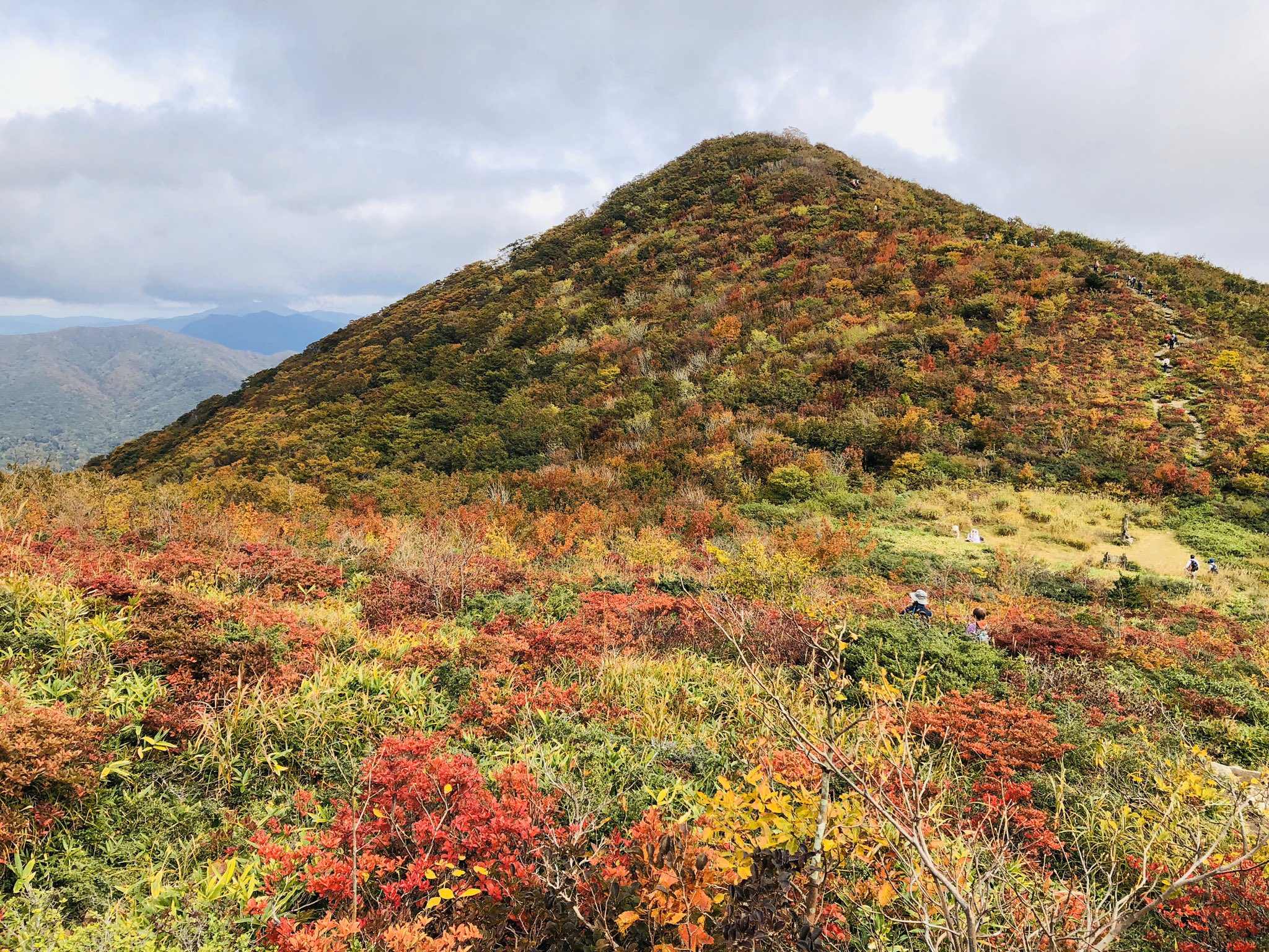 中国地區紅葉最新消息 每日更新 Japan Travel 日本旅遊情報網