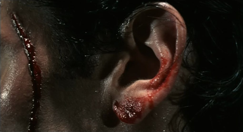 HorrorFlickss's tweet photo. Evil Dead II https://t.co/AKTVYlOr1M