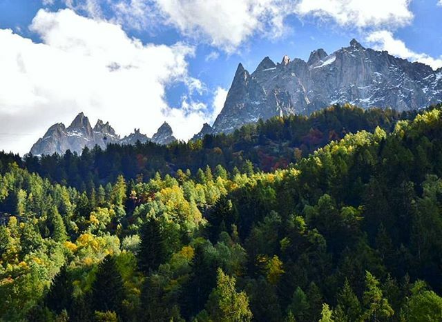 J_Kpon's tweet photo. 📸 Comment se lasser de la vue ? 🍁😍 - #Chamonix 
__
#Chamlive #Chamonixvalley #Naturephotography #Montagne #Automne #Lesalpesfr #Savoiemontblanc #Hautesavoie #Bluesky #Nautesavoiexperience #Alpes #Rhonealpes #Frenchalps #Sudest_focus_on #View #Rhoneal… https://t.co/VTDljNHONI https://t.co/J3rkUpf9ST