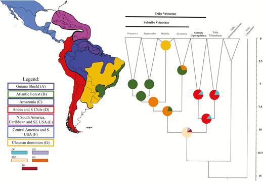 BotJLinnSoc's tweet photo. After the special issue on #grasses (#Poaceae), also in 2020 there will be another on #bromeliads (#Bromeliaceae), also based on the papers presented at #MonocotsVI in #Natal, guest edited by Clarisse Palma-Silva. Watch about for more papers coming soon! https://t.co/b6dmskqwf3 https://t.co/WEb6WwwarG