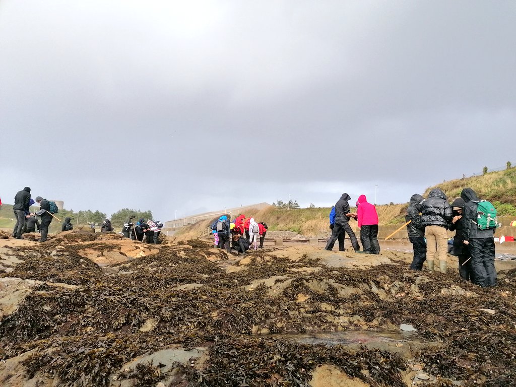 Field week was a blast. This was day 5 over on #mountbatten, we had sun, hail, wind and many many laughs. Found some brilliant organisms. We have had such a fantastic field week exploring the shores and waters of #plymouthsound.

#plymbio #plymouthuni