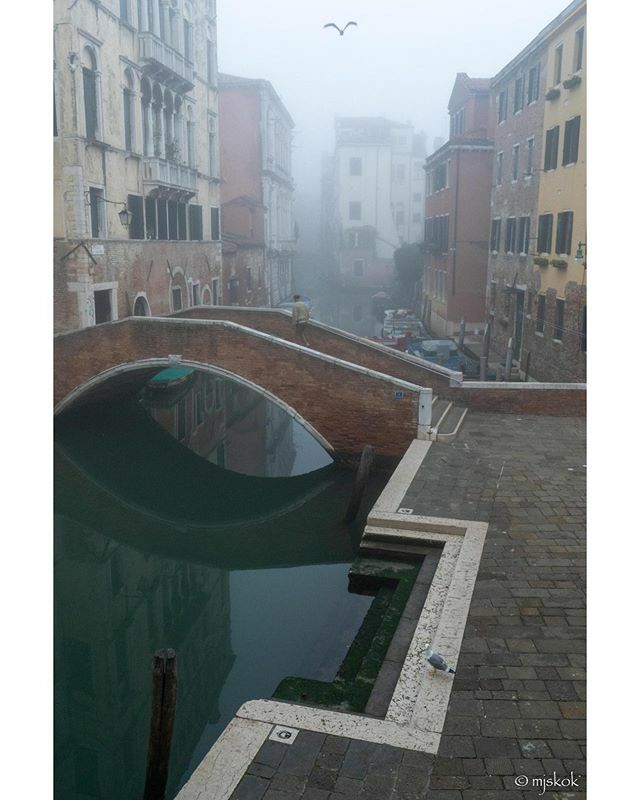 mjskok's tweet photo. Sunday dawn
|
|
#sunday #dawn #mist #still #calm #water #canal #leadinglines #pastelcolor #mutedcolor #pidgeons #bridge #man #walking #shadow https://t.co/IPgdFwKeiM https://t.co/5xMEXrgejK