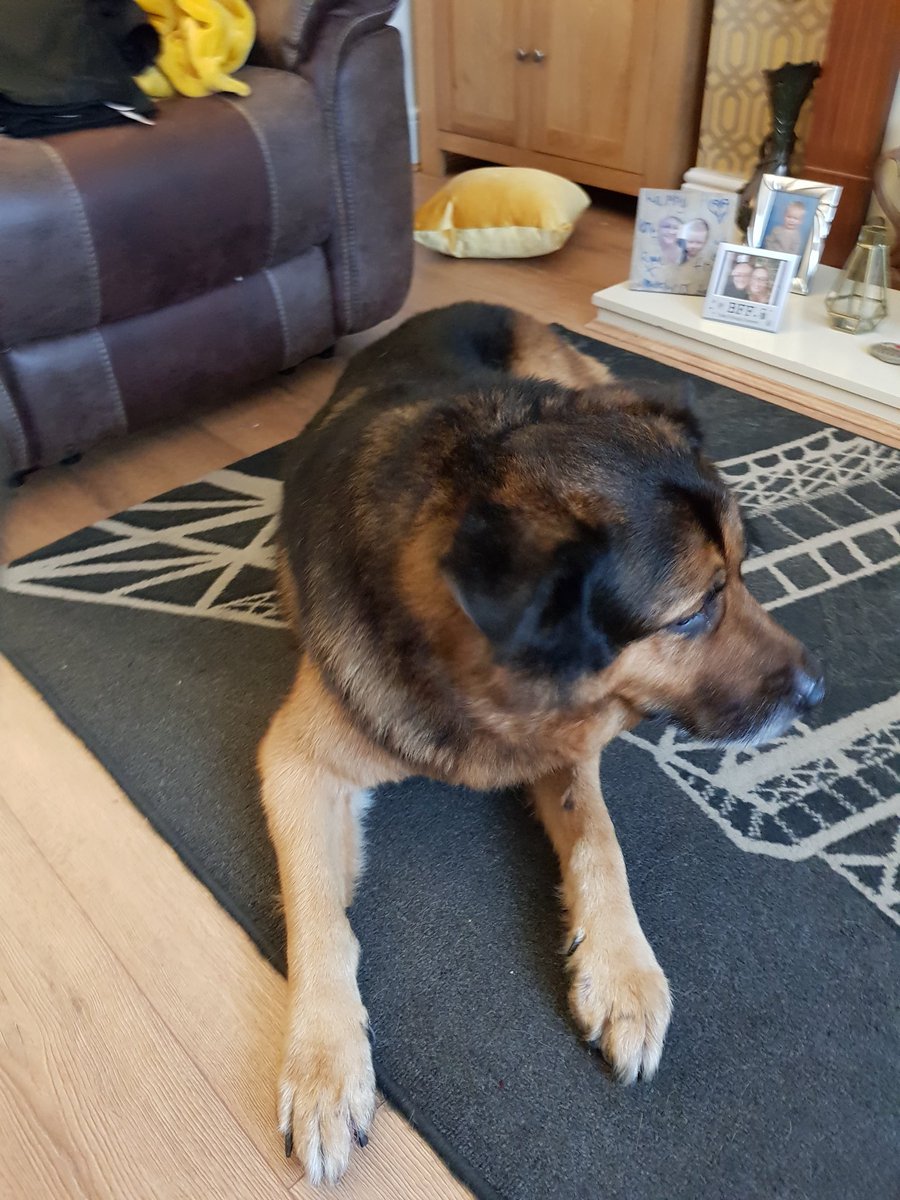 Ben, Rosie and Sophia all looking very comfy last night! Shame the were no seats for anyone else! Poor George makes do with the floor.