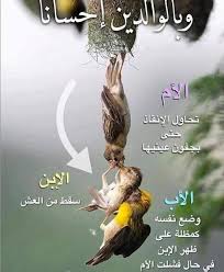 عندما تتحدث الفطرة