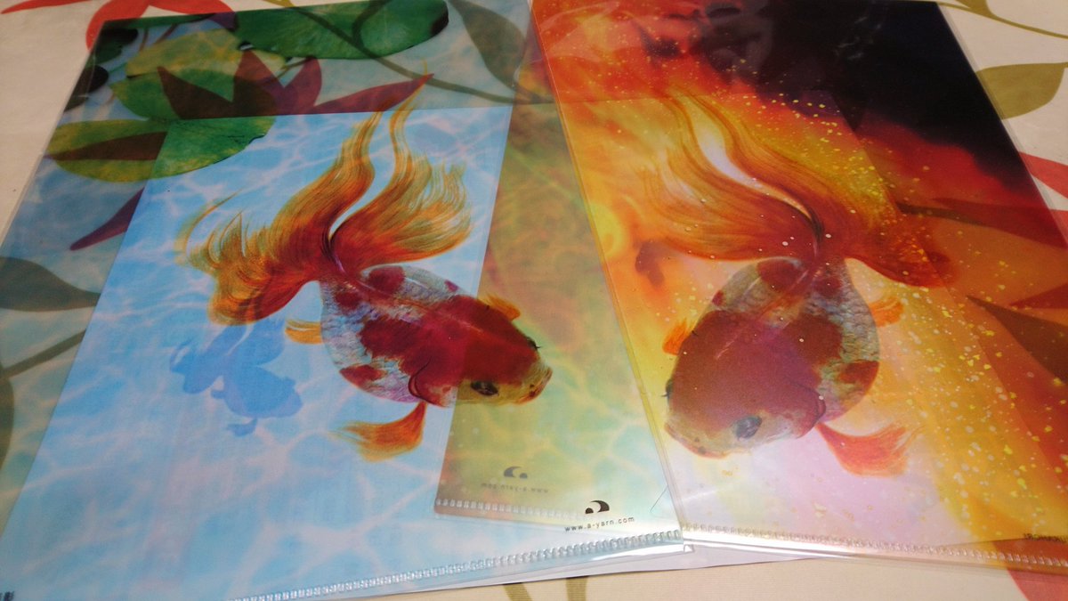 室町 596丁本を完全させたい願望 今日は金魚絵展見てきました 絵だけどいきいきとしてて綺麗だった あと販売コーナーで買ってきたクリアファイルがめちゃめちゃ美しくてほくほく 手拭いも風呂敷もよくて買ってしまった