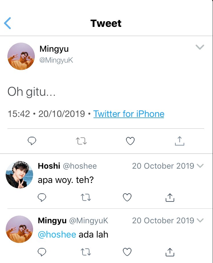 Mingyu besokannya diceritain Wonwoo