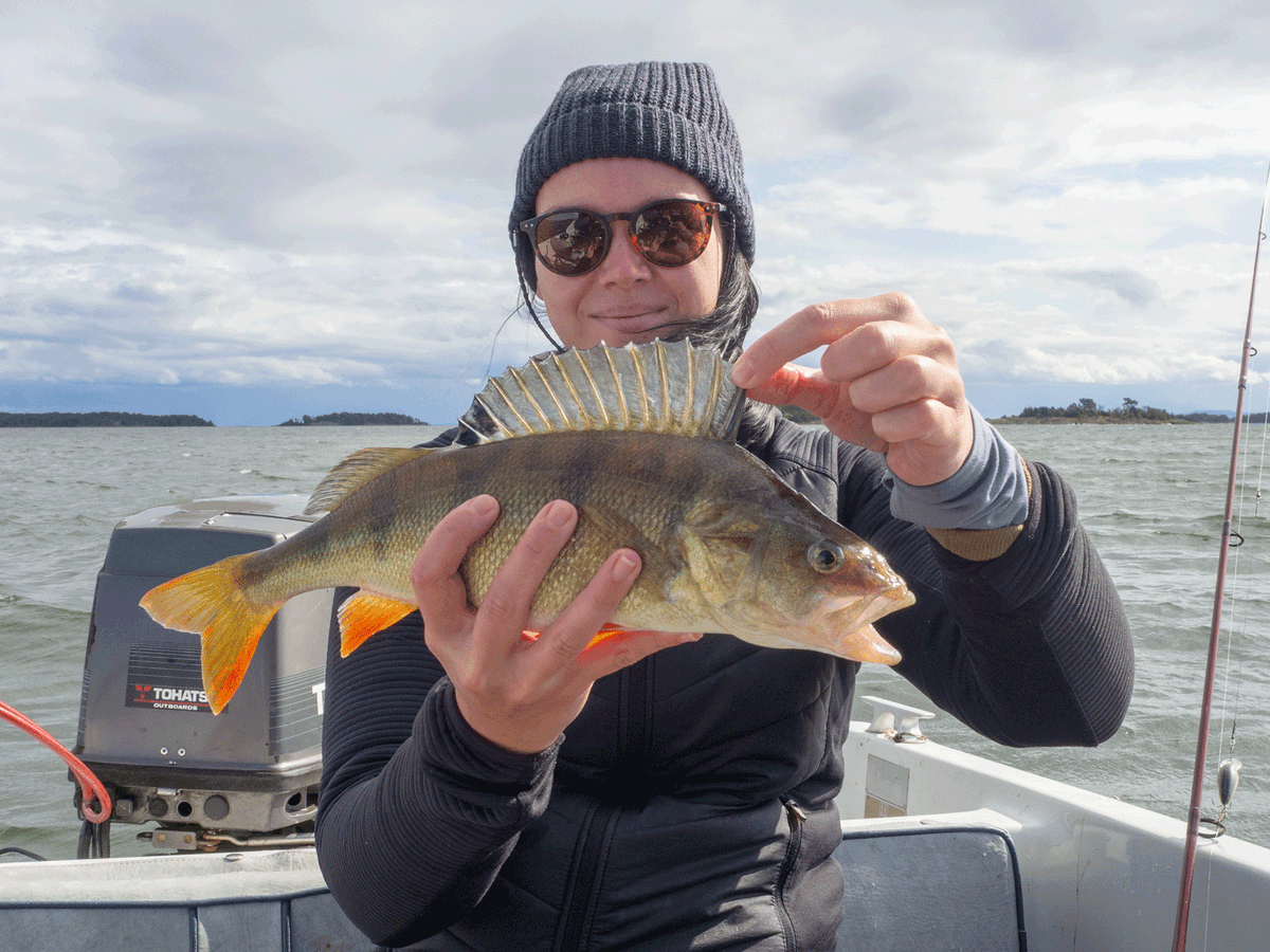koefi_at's tweet photo. Barsche haben den Tennessee Shad von Bomber Lures zum Fressen gern. https://t.co/X50uCGmvxM

#barschangeln #barsch #raubfisch #angeln #fischen #barschalarm #fishing #wobbler #bomberlures #spinnfischen #schleppangeln #blinker #zander #perch #bassfishing https://t.co/RvDy7CquvJ