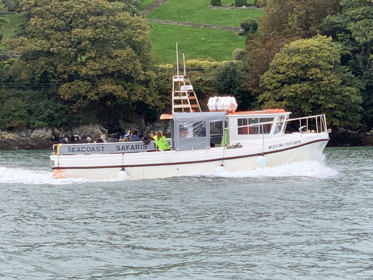 Plenty enjoying a cruise along the Menai Strait today with <a href="/SeacoastSafaris/">Seacoast Safaris</a>