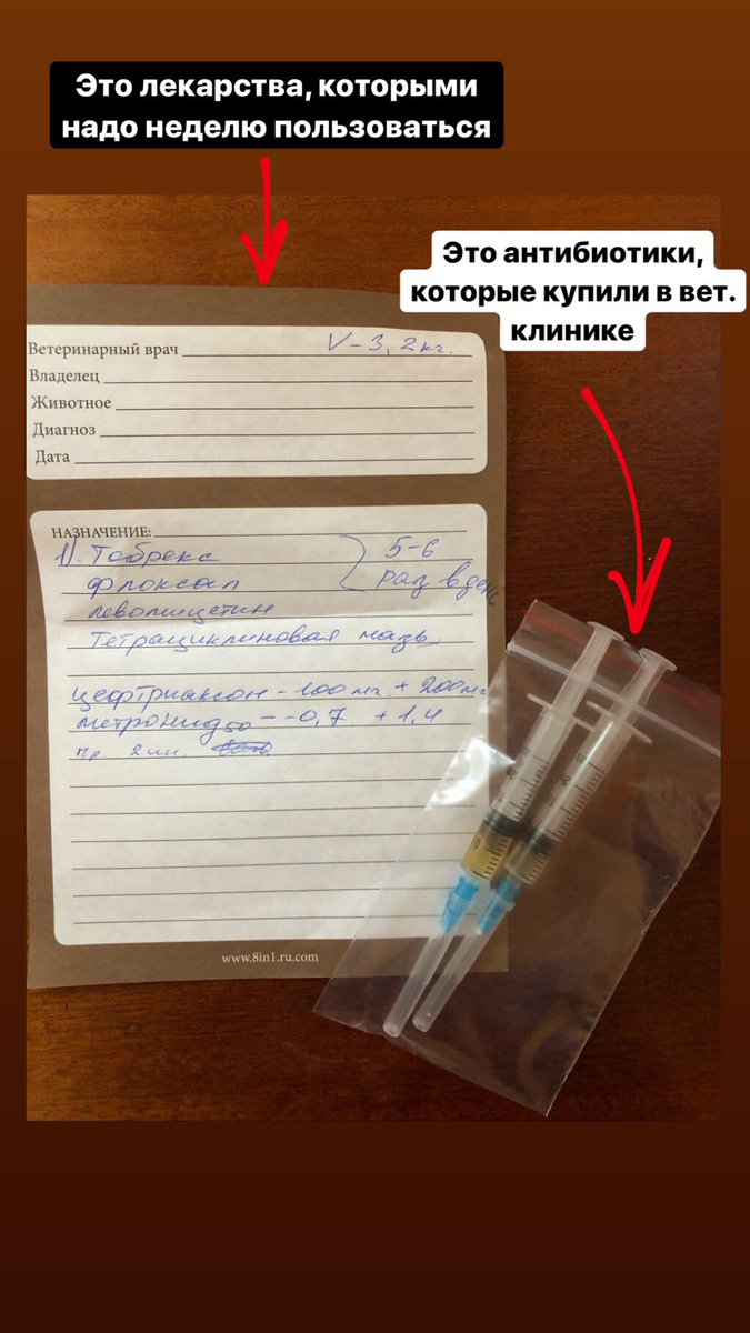 ДОБРОЕ ДЕЛО!!!
Вчера вечером мы нашли, как оказалось, котика. Обратили на него внимание только потому, что он метался из стороны в сторону. Мы заподозрили неладное и присмотрелись. 
Не проходите мимо, сделайте ретвит, это же не трудно🙏❤️
Продолжение и пруфы внизу👇