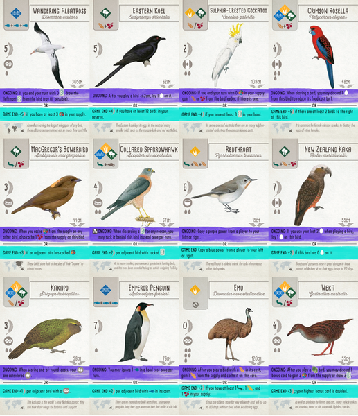 Images Of ウィングスパン Japaneseclass Jp