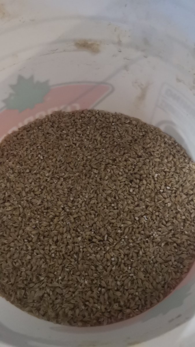 NBCBA_ORG's tweet photo. Brewing up a brown ale. Who else is brewing on a beautiful Sunday morning https://t.co/zyBssePH7b