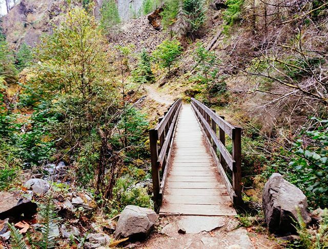 ericmuhr's tweet photo. My great aunt Merrylee is not a fan of bridges, which is part of why I keep posting them ❤️#WahclellaFalls #TannerCreek #Bonneville #MultnomahCounty #Oregon #OregonExplored #NW_Explored https://t.co/mbblQJQiaL https://t.co/FNUyY9NnZZ