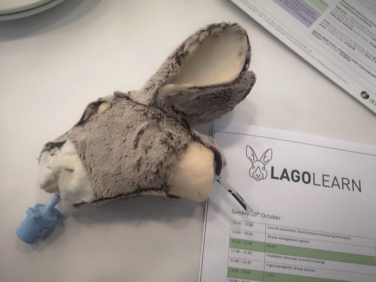 Craig Tessyman RVN (@exoticrvn) on Twitter photo This is not the normal result when I place an ET tube.
The anatomical dummy's made and used by <a href="/Lagolearn/">Lagolearn Ltd</a> realy do make you understand the anatomy of slaving an ET tube.
#lagolearn #whatVNsdo #vetnurse #furthereducation #vn #rvn #CPD This is not the normal result when I place an ET tube.
The anatomical dummy's made and used by <a href="/Lagolearn/">Lagolearn Ltd</a> realy do make you understand the anatomy of slaving an ET tube.
#lagolearn #whatVNsdo #vetnurse #furthereducation #vn #rvn #CPD