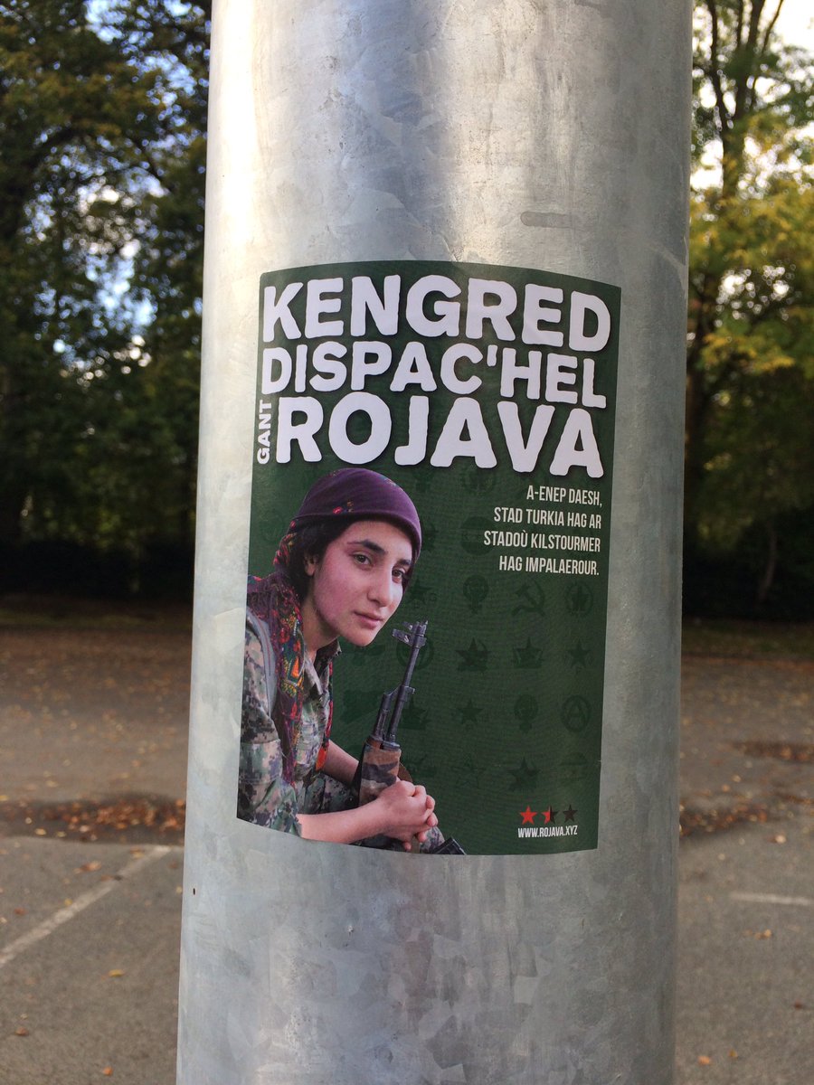 war_sav's tweet image. #fight4rojava dalc&apos;homp gant ar skoazell d&apos;ar gurded ! #bzhg #bzh #Kurdistan