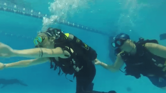 LoliBTTT's tweet photo. Under-Water https://t.co/B6ctkYEmmm https://t.co/jBKA38zeYu