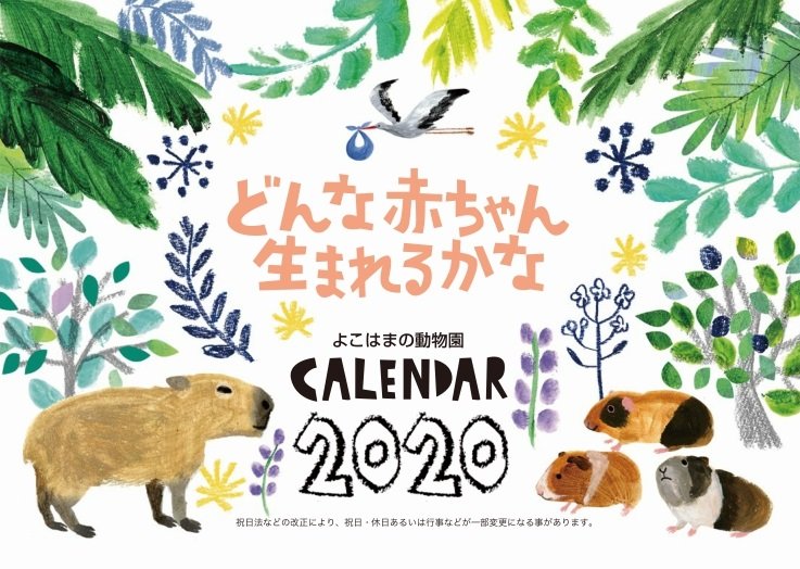 Uzivatel 横浜市立金沢動物園 公式 Na Twitteru 19年も残すところ2ヶ月とちょっと よこはまのどうぶつえん では 年オリジナル卓上カレンダーの販売を開始しました 今年はデザインを一新 かわいいイラストで 動物の赤ちゃん 誕生の様子をご紹介します