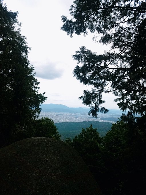 コスプレイヤー由貴のTwitter画像13